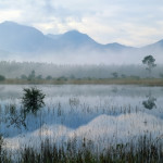 http://www.dreamstime.com/-image22470827 http://www.dreamstime.com/-image22470827