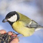 http://www.dreamstime.com/-image4365806