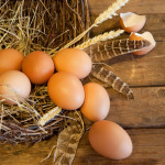 http://www.dreamstime.com/-image13497793