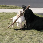 sharing with each other
